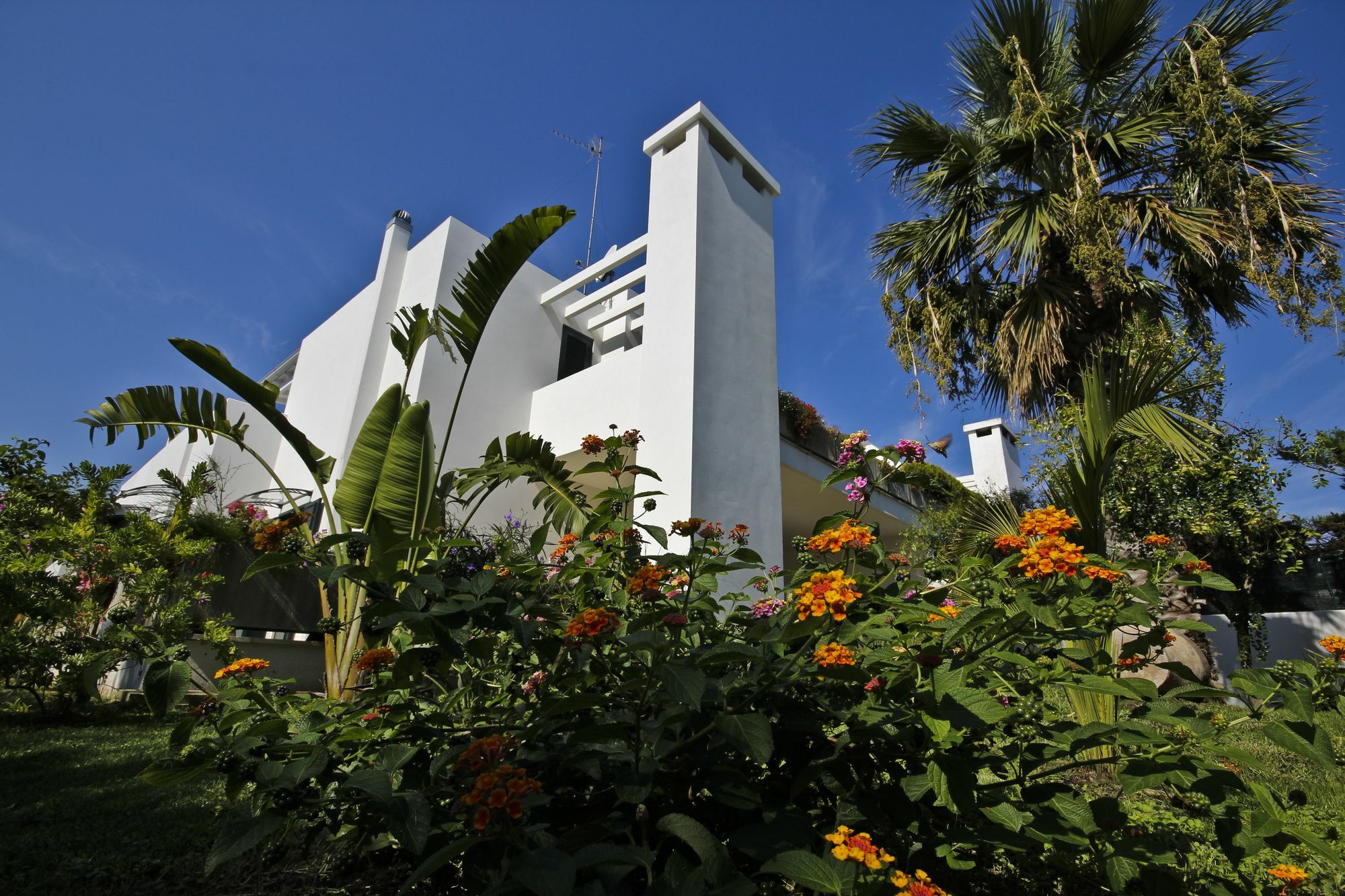 B&B Villa Genny A Pochi Passi Dal Mare San Cataldo  Luaran gambar